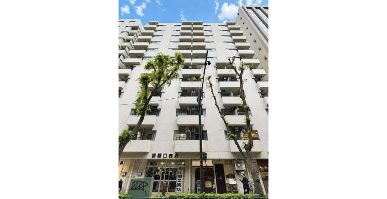 ニュー池袋ハイツ 建物外観(提供写真・撮影時期未確認)